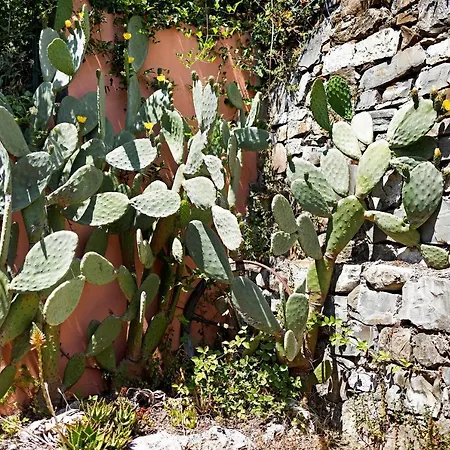 Feriehus Casetta Rosa Con Giardino *